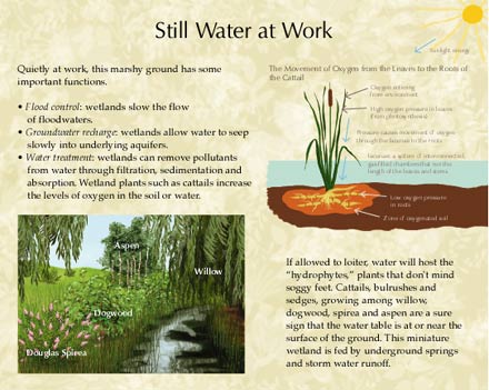 Image of two of the signs at Berman Creekside Park