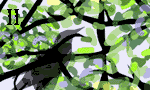 Starling illustration from Hymn of St. Francis animations