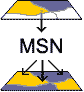 Most Similar Neighbor Logo